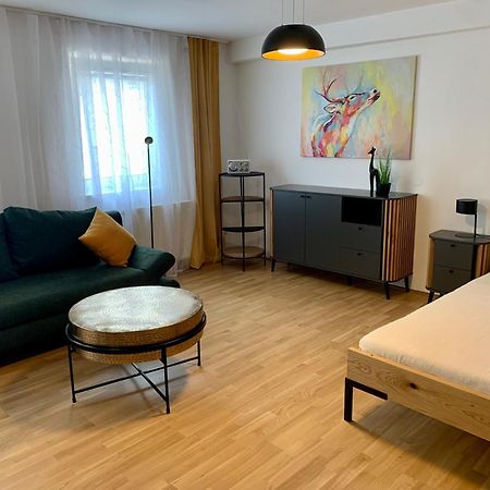 Air-Conditioned, Quiet Apartment With A Terrace In Center Of St Poelten - Smart Tv St. Pölten Exterior foto