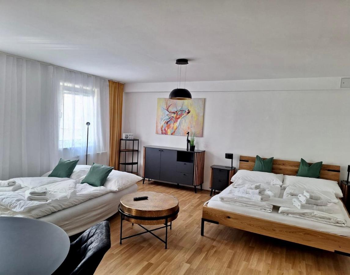 Air-Conditioned, Quiet Apartment With A Terrace In Center Of St Poelten - Smart Tv St. Pölten Exterior foto